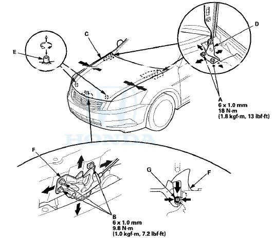 3. Adjust the hood (C) alignment in the following sequence: