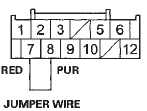 Wire side of female terminals