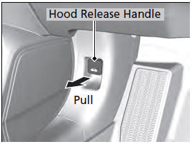 1. Park the vehicle on a level surface, and set