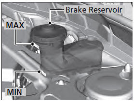 The fluid level should be between the MIN