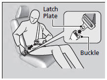 2. Insert the latch plate into the buckle, then