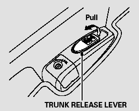 You can open the trunk in two ways: