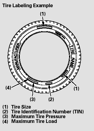 Tire Size