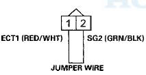 Wire side of female terminals