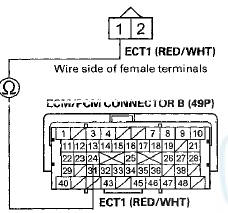 Terminal side of female terminals