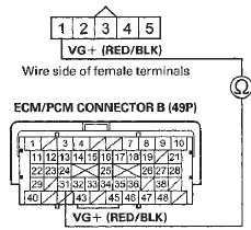 Terminal side of female terminals