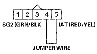 Wire side of female terminals