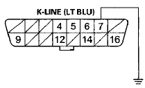 Terminal side of female terminals