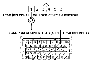 Terminal side of female terminals