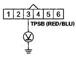 Wire side of female terminals