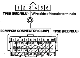 Terminal side of female terminals