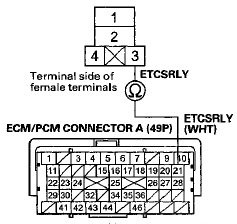 Terminal side of female terminals