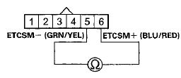 Wire side of female terminals