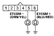 Wire side of female terminals