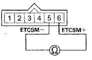 Terminal side of male terminals