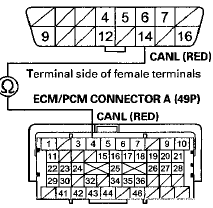 Terminal side of female terminals