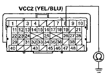 Terminal side of female terminals