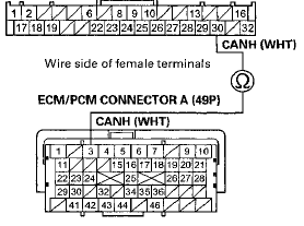 Terminal side of female terminals