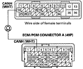 Terminal side of female terminals