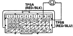 Terminal side of female terminals