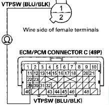 Terminal side of female terminals