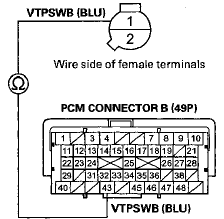 Terminal side of female terminals