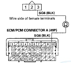 Terminal side of female terminals