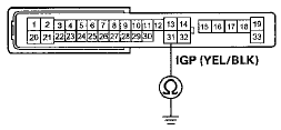 Wire side of female terminals