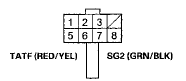 Wire side of female terminals