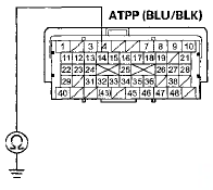 Terminal side of female terminals