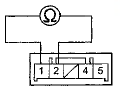 Terminal side of male terminals