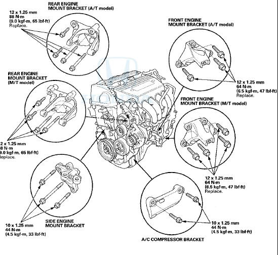 2. Raise the vehicle on the lift, and position the engine/