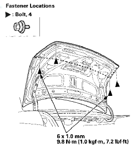 4. While gently pulling out the bottom edge of the trunk