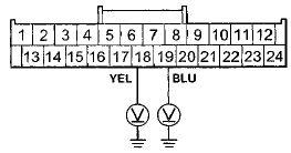 Wire side of female terminals