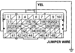 Terminal side of female terminals