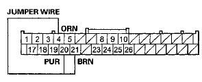 Wire side of female terminals