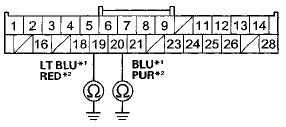 Wire side of female terminals