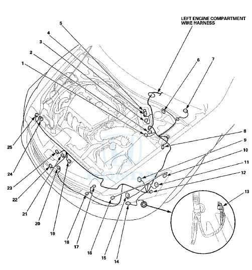 Left Engine Compartment Wire Harness (Dash branch)