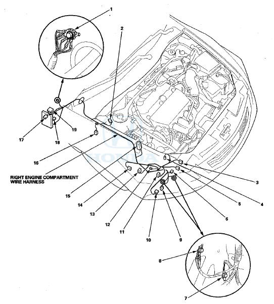 Left Engine Compartment Wire Harness (Engine compartment branch)