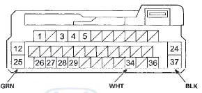 Wire side of female terminals