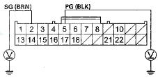 Wire side of female terminals