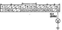 Wire side of female terminals