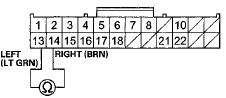 Wire side of female terminals