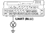 Wire side of female terminals