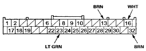 Wire side of female terminals