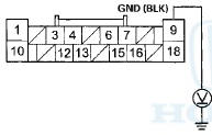 Wire side of female terminals