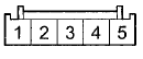 Wire side of female terminals