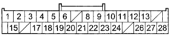 Wire side of female terminals