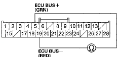 Wire side of female terminals