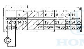 Wire side of female terminals